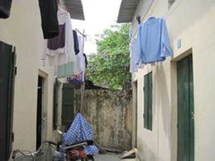 Chủ nhà trọ có thể được miễn thuế 2 năm 2013, 2014