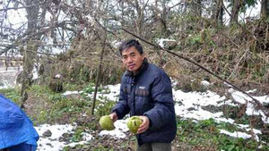 Rét đậm rét hại diện rộng, có nơi dưới 3 độ