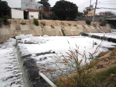 TP.HCM: 'Tuyết' phủ trắng xóa kênh Ba Bò