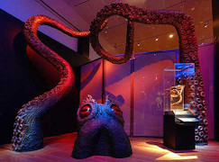 Những thứ kỳ lạ, khó lý giải dưới đáy đại dương