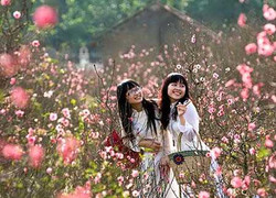 Tết Dương lịch 2014: Thời tiết cả nước ra sao?