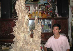 Bí ẩn cây hoá thạch triệu năm tuổi ở Thanh Hoá