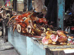 Chuyện lạ ở Hà Nội: Phố thịt chó Nhật Tân biến mất