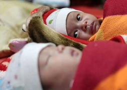 Sinh con từ tinh trùng tử thi: Khó đưa tên cha vào giấy khai sinh