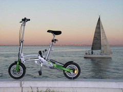 Chọn Ecogo Biz là món quà Tết đặc biệt ý nghĩa