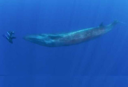 ‘Mua hàng liền tay, rước ngay lộc vàng’ cùng VTC