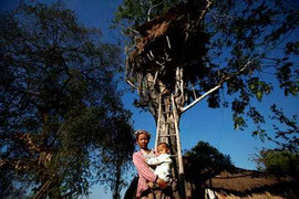 Kỳ lạ ngôi làng cư dân trốn trên cây vì bị loài voi săn đuổi