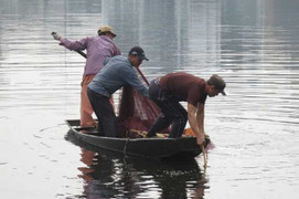 Vẫy tay chào vợ trước khi nhảy hồ tự tử