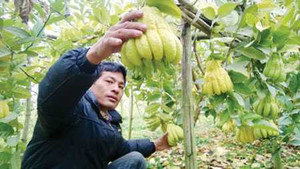 Làng tỷ phú nhờ 'bàn tay Phật'