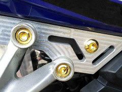 Ốc mạ vàng làm đẹp xe, trò mới của dân chơi Việt