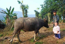 Chuyện lạ về sơn nữ lùn nhất Việt Nam