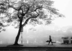 Tin mới nhất về gió mùa đông bắc, mưa rét