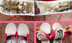 Clip: Ồ ạt 'mổ' dép Trung Quốc xem chất lạ