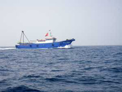 Tàu cá Trung Quốc liên tục vi phạm lãnh hải Việt Nam