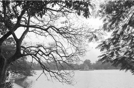 Mưa rét bao trùm Bắc và Trung Bộ