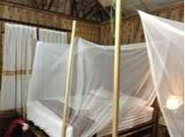 Vào tận giường phụ nữ, vén màn giật dây chuyền