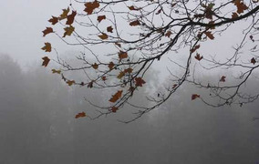 Miền Bắc đột ngột rét sâu, miền Nam se lạnh