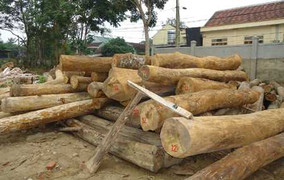 Xông vào trạm kiểm lâm đánh cán bộ rạn hộp sọ