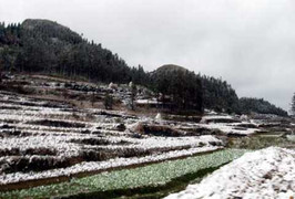 Việt Nam có thể đón kỷ lục 4 đợt tuyết rơi