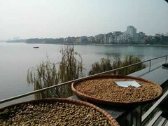 Miền Bắc tiếp tục rét đậm, có nơi dưới 4 độ C