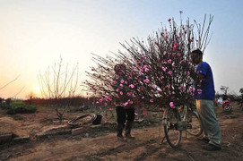 Bắc Bộ rét đậm, Nam Bộ tiếp tục lạnh