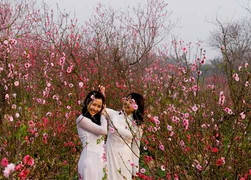 Đón Tết ta theo dương lịch: Tại sao không?