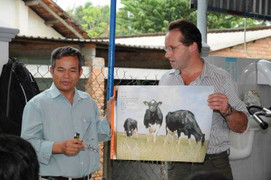 “Bò vui, nông dân hạnh phúc” – triết lý nghề nuôi bò sữa