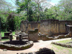 Bí ẩn không thể giải thích nổi về thành phố giữa rừng hoang