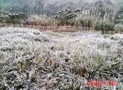 Nghệ An bất ngờ có tuyết