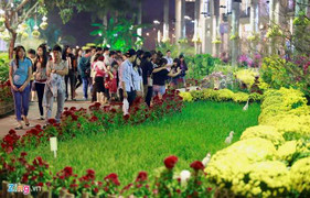 Người Sài Gòn đổ về đường hoa dài 700m ở Phú Mỹ Hưng