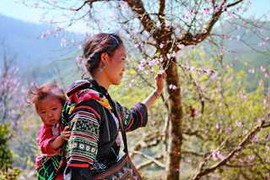 Tết về vùng lũ đá bản Khoang