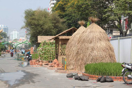 Hồn quê Việt Nam giữa Sài Gòn hoa lệ