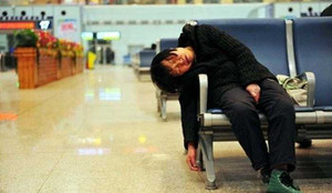 Muôn kiểu vạ vật chờ về quê ăn Tết