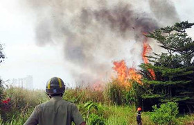 50 cảnh sát dập đám cháy cỏ gần hầm Thủ Thiêm