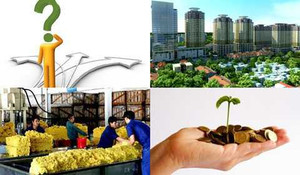 Cắt giảm và từ bỏ: Đánh đổi để được sống