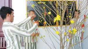 Tết đoàn viên xúc động của phạm nhân