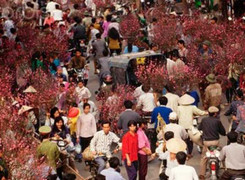 Hình ảnh hiếm chợ hoa đào Tết năm 1973