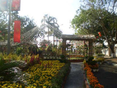 Clip: Côn Đảo rộn ràng đón xuân