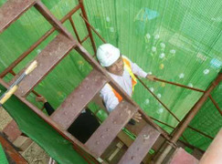 Phó Thủ tướng 'leo thang', Bộ trưởng Thăng 'nhảy tàu'