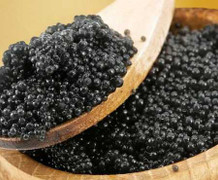 Những người ôm giấc mộng bá chủ ‘vàng đen’ ở Việt Nam