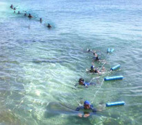 Xem đặc công Việt Nam luyện thành 'người nhái'