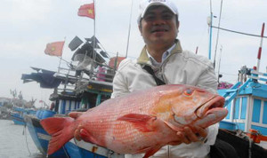 Ngư dân Lý Sơn trúng đậm 'lộc biển' đầu năm