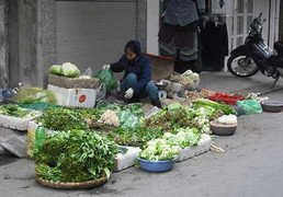 Dân ngán thịt mỡ bánh chưng, đậu phụ tăng chóng mặt
