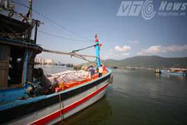 Chuyến biển xuyên Tết mang lại gần 7 tấn hải sản