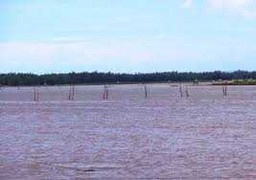 Tạt nước sôi vào bạn ghe, cướp 6 tạ mực