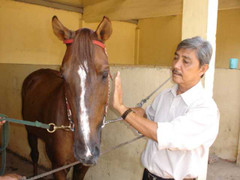 Chuyện ít biết về ngôi làng nông dân luyện chiến mã