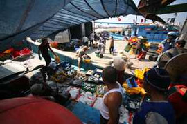 Đà Nẵng sẽ có Chi hội ngư dân Hoàng Sa