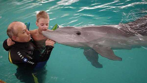 Ukraine dừng sử dụng cá heo trong hải quân