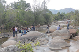 Còn ‘mồng’ là còn Tết!