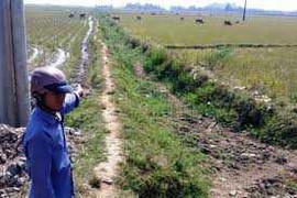 Bé gái chăn bò chết bên vệ đường nghi bị cưỡng hiếp